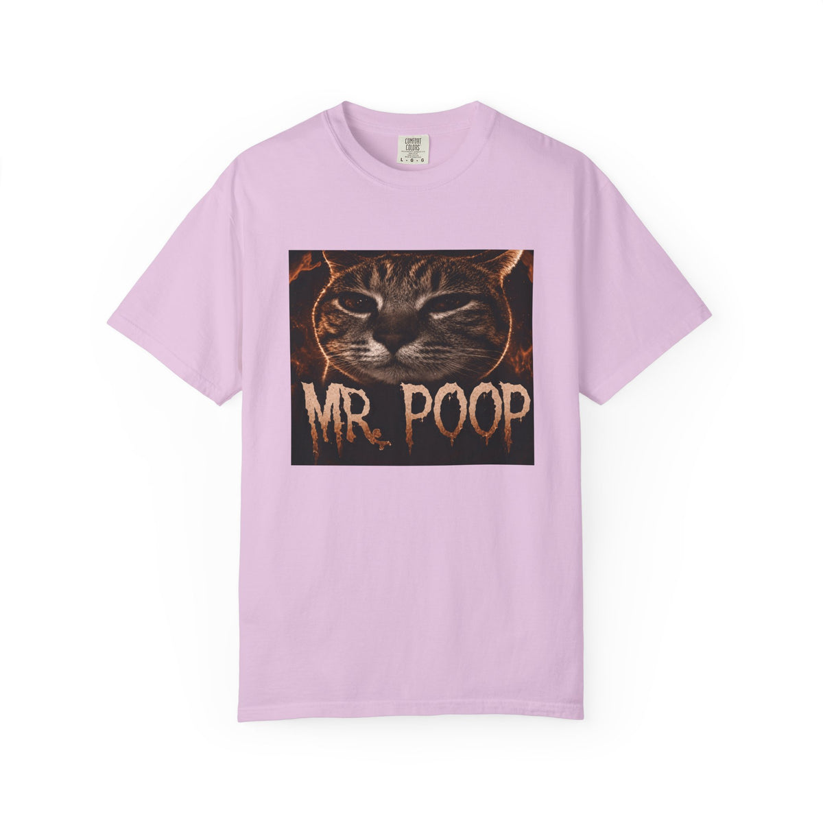 Mr Poop