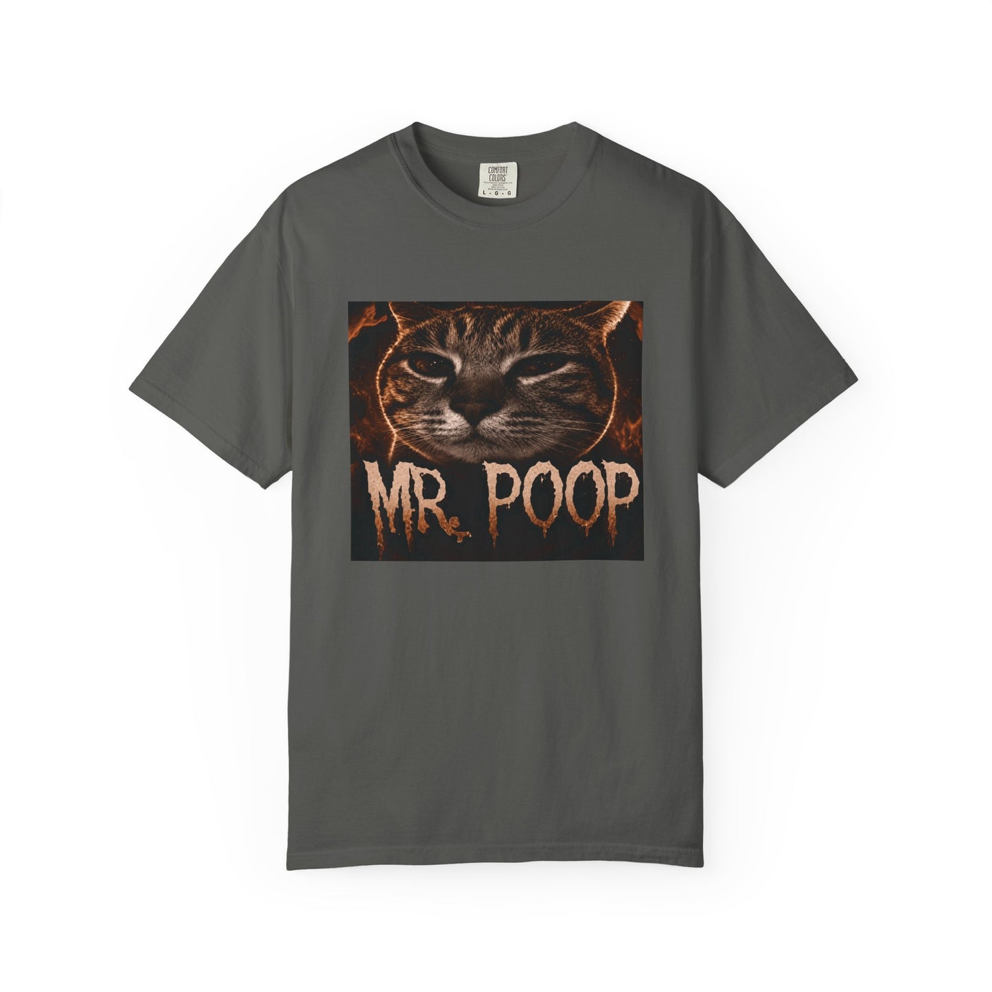 Mr Poop