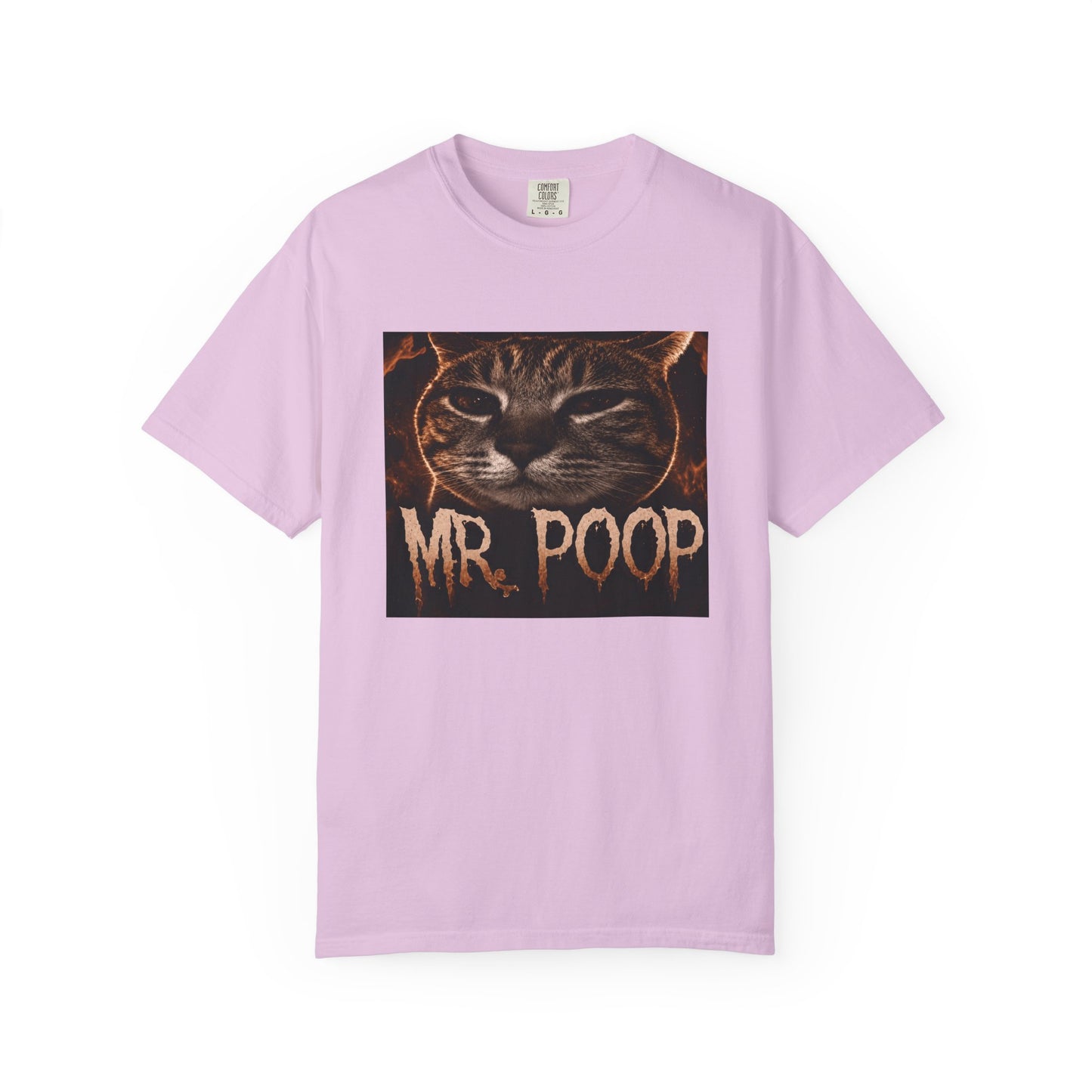 Mr Poop