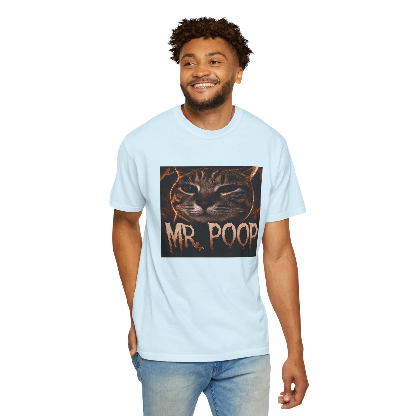Mr Poop