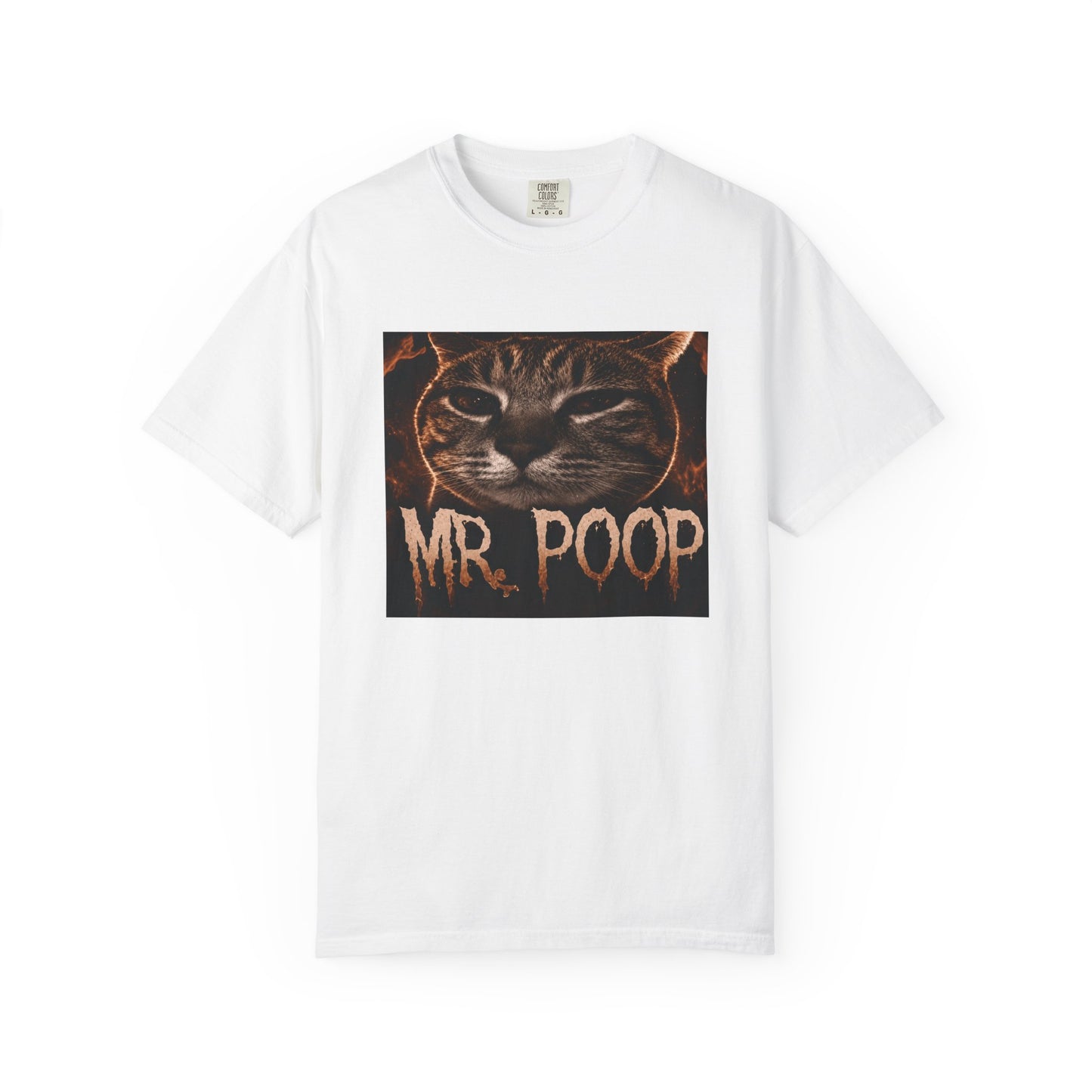 Mr Poop