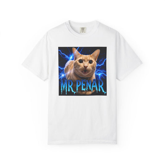 Mr Penar