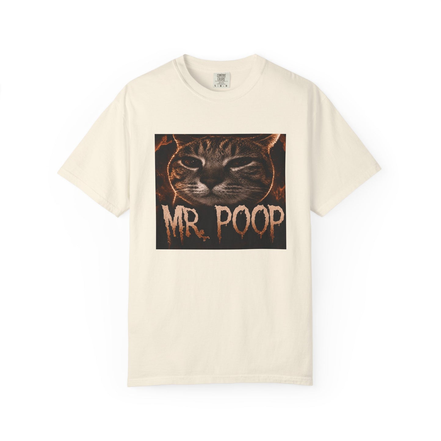 Mr Poop