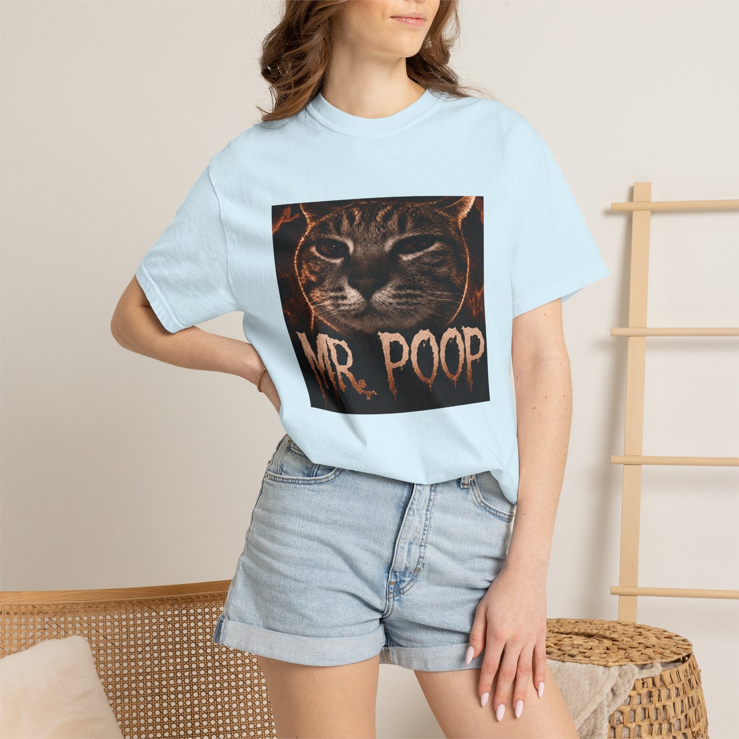 Mr Poop